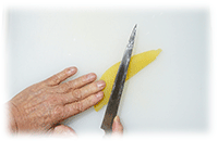 �J�Y�m�R齃_�l