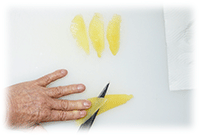 �J�Y�m�R齃_�l