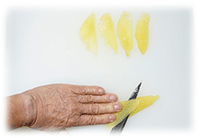 �J�Y�m�R齃_�l