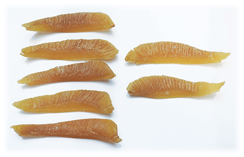 �����J�Y�m�R