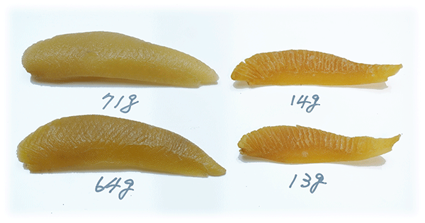 �����J�Y�m�R