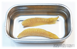 �����J�Y�m�R